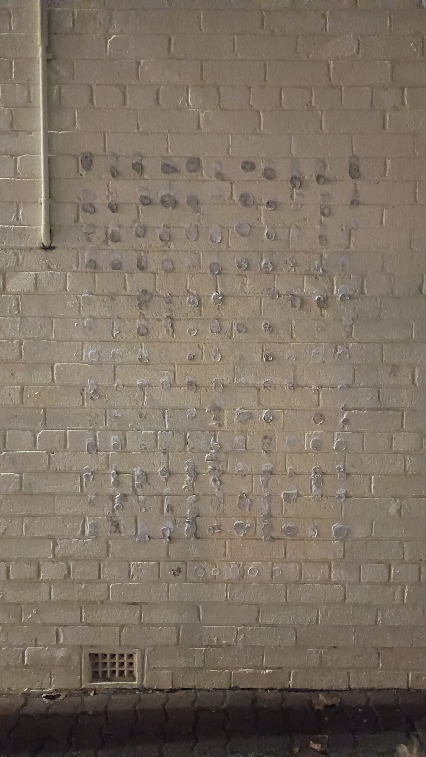 A brick wall with a rectangle of blobs of liquid nails.