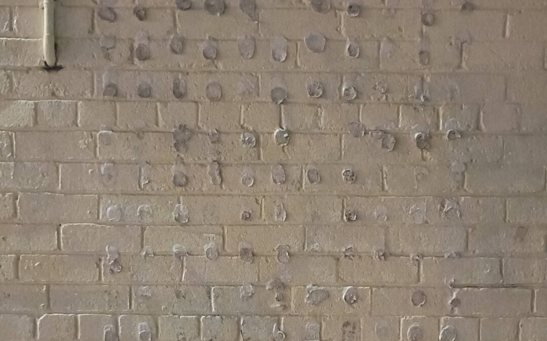The Toast Wall