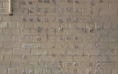The Toast Wall